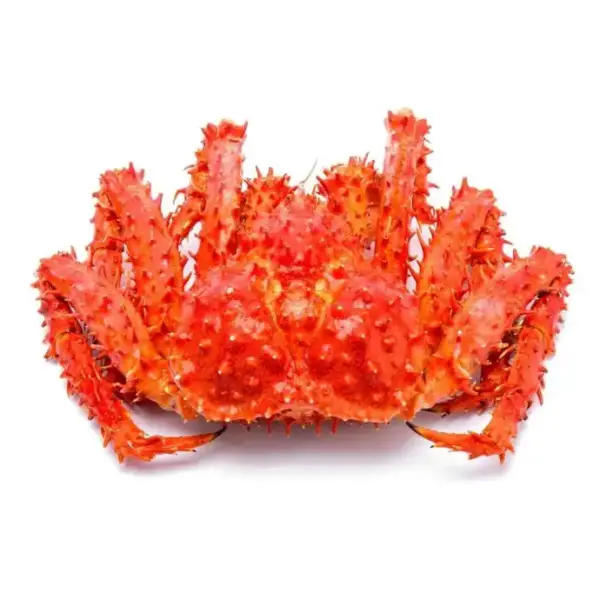 Fresh Red King Crab - Image 2